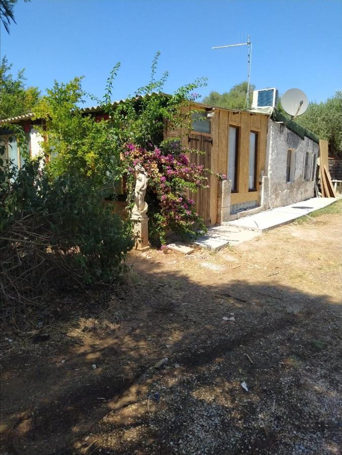 Holiday Home,1055806891:JPEG