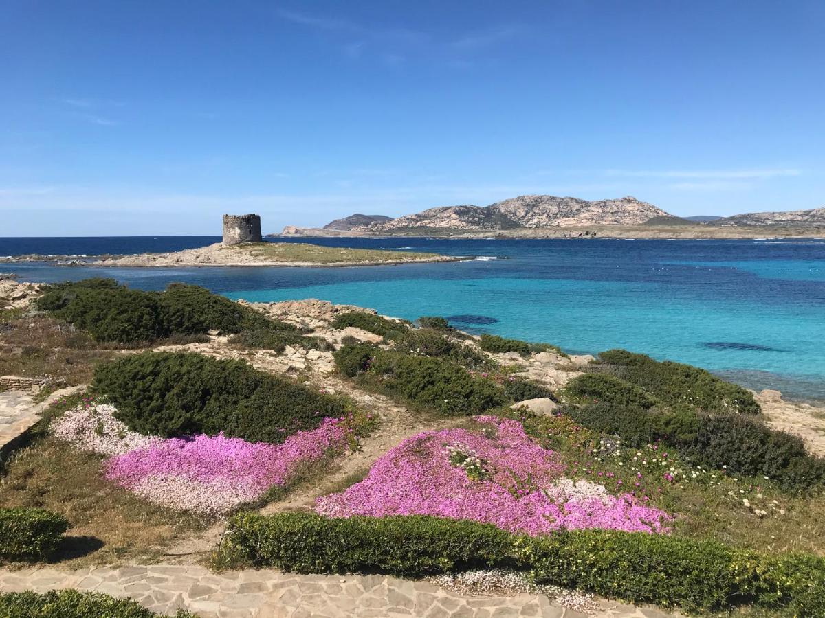 Camera Matrimoniale/Doppia con Letti Singoli con Vista Mare