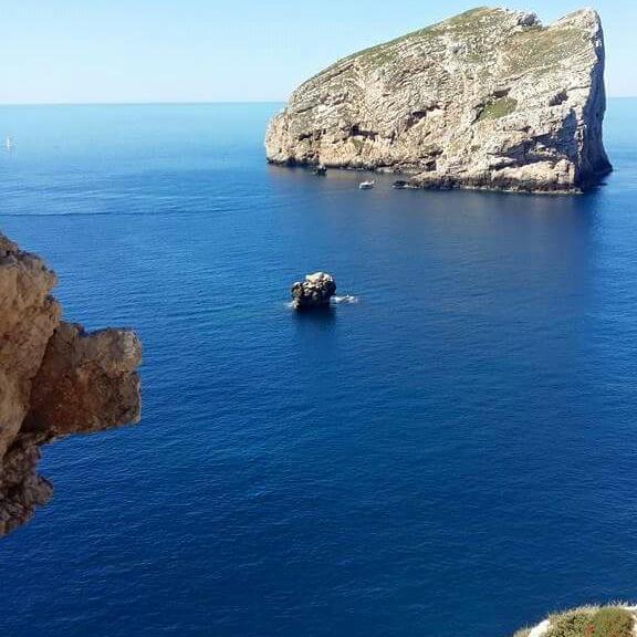 Family Room with Private Bathroom,134443800:JPEG