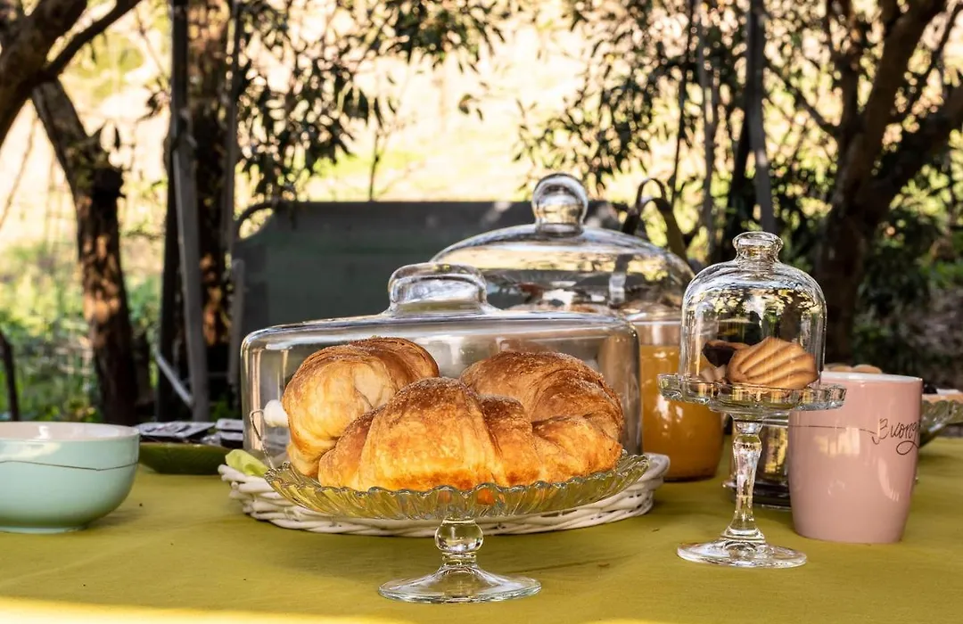 B&B Ottoulivi-1