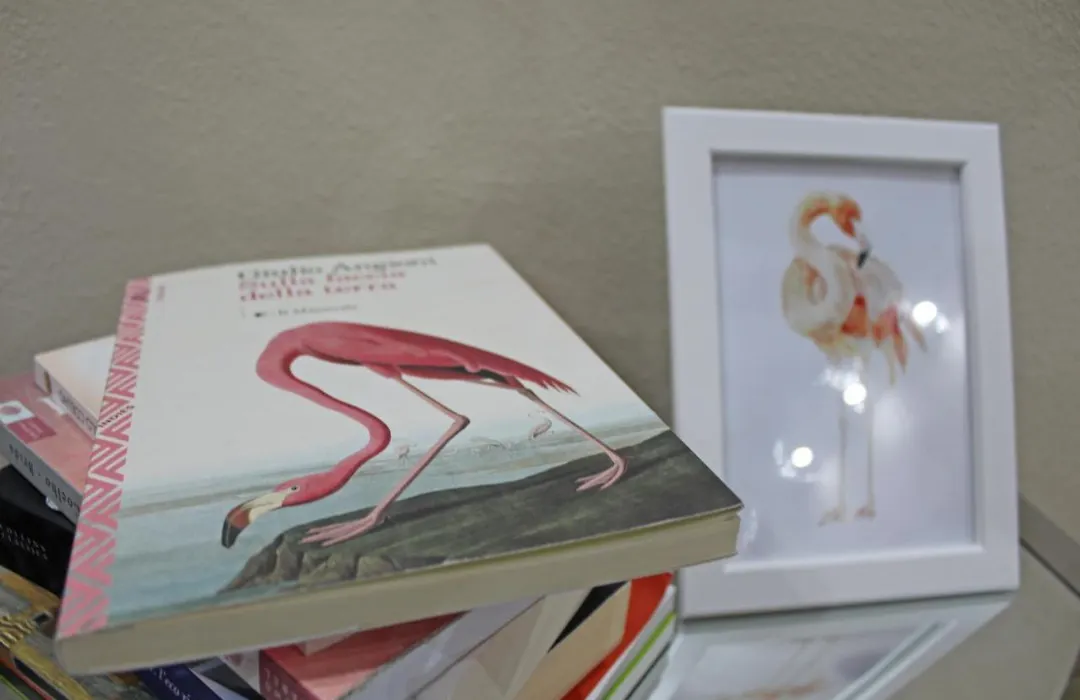 Flamingo Luxury Apartment Ajpsardinia-1