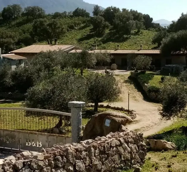 B&B Sa Mendula-1