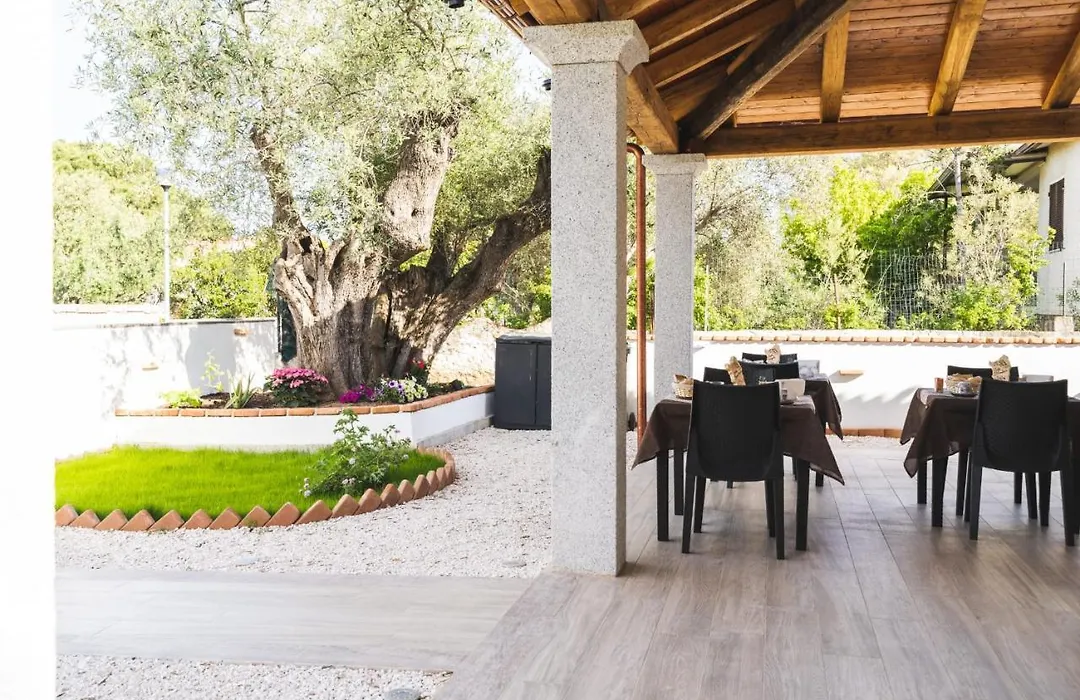 B&B Gonare-1
