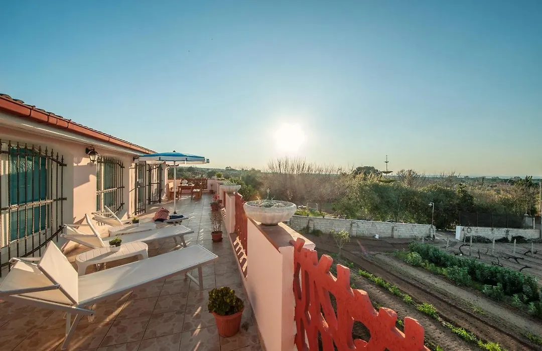 B&B Il Vigneto-1