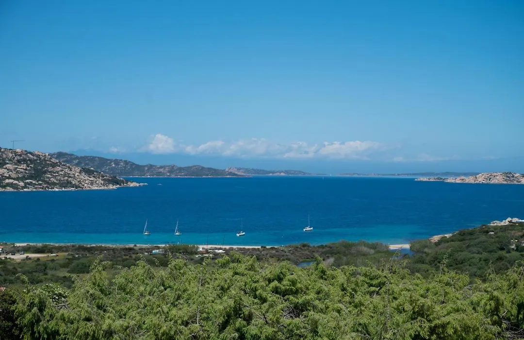Flat Orizzonte Blu-1