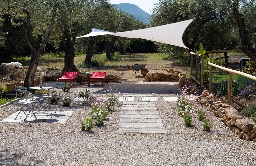 Oliveto Bed And Breakfast-1