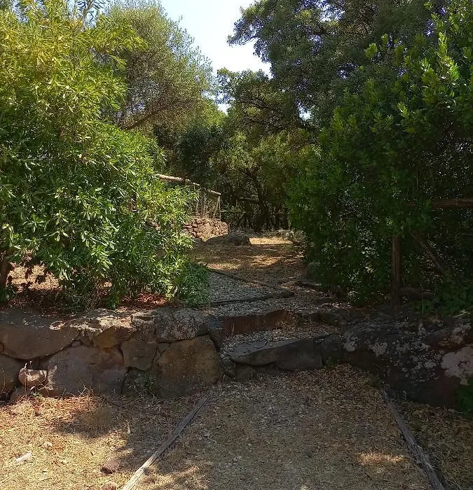 Casa Golloi-1