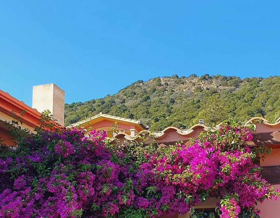 B&B La Vela Chia-1