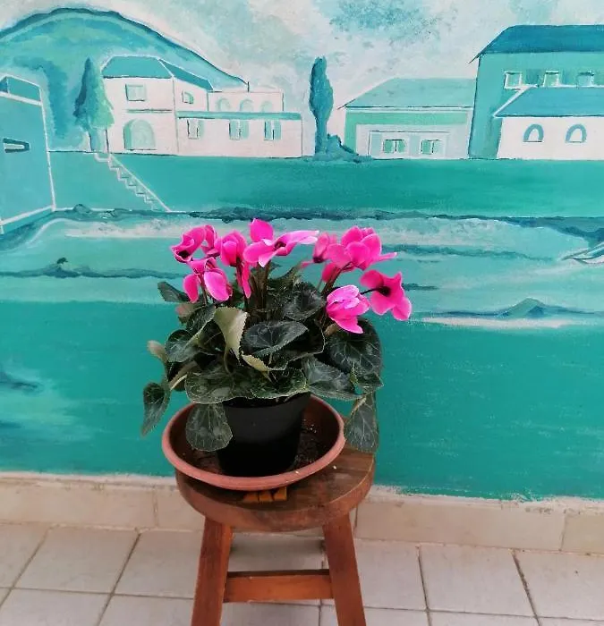 B&B Il Giardinetto Alghero-1