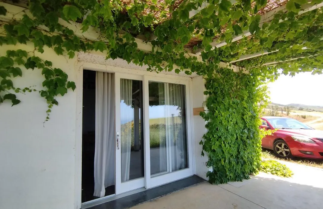 Suite Rooms In Tenuta Asinara Vineyard-1
