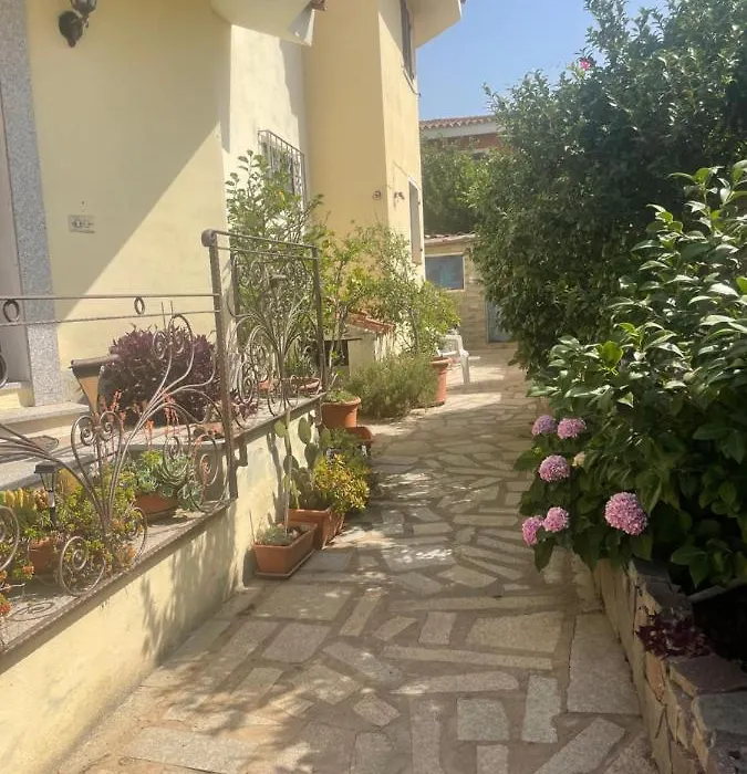 La Lanternina-1