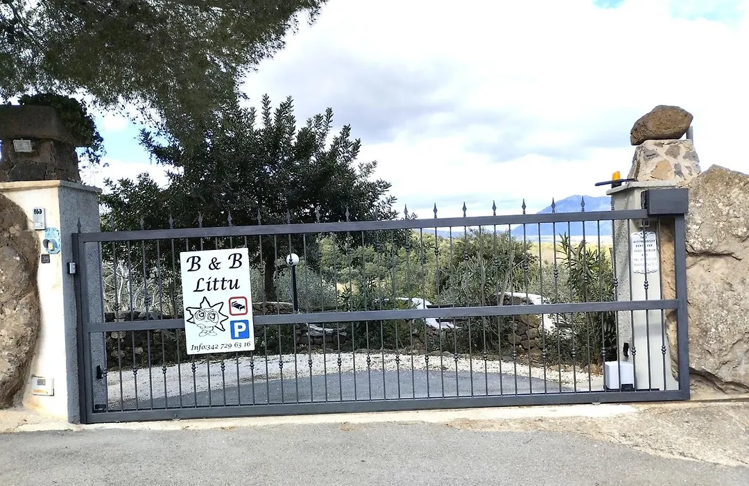 B&B Littu-1