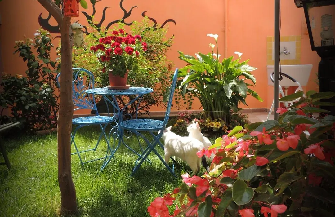 My Little Garden-1