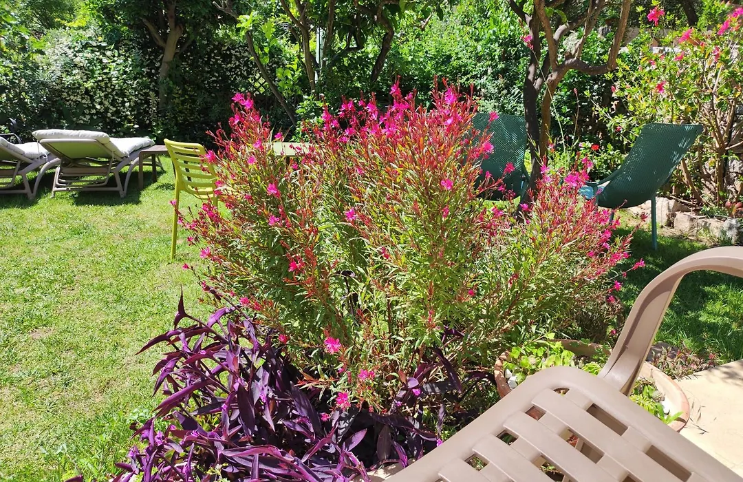 Il Giardino Di Tatiana Rooms-1