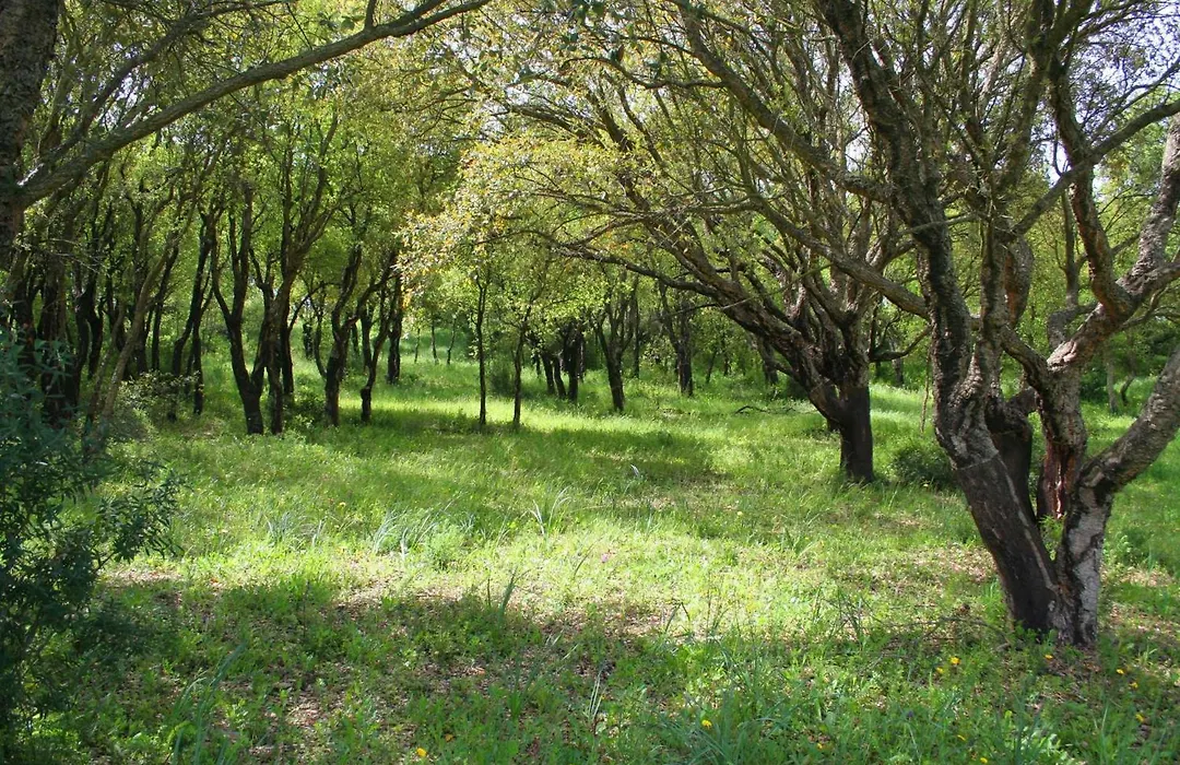 Sa Rocca Sport E Resort-1