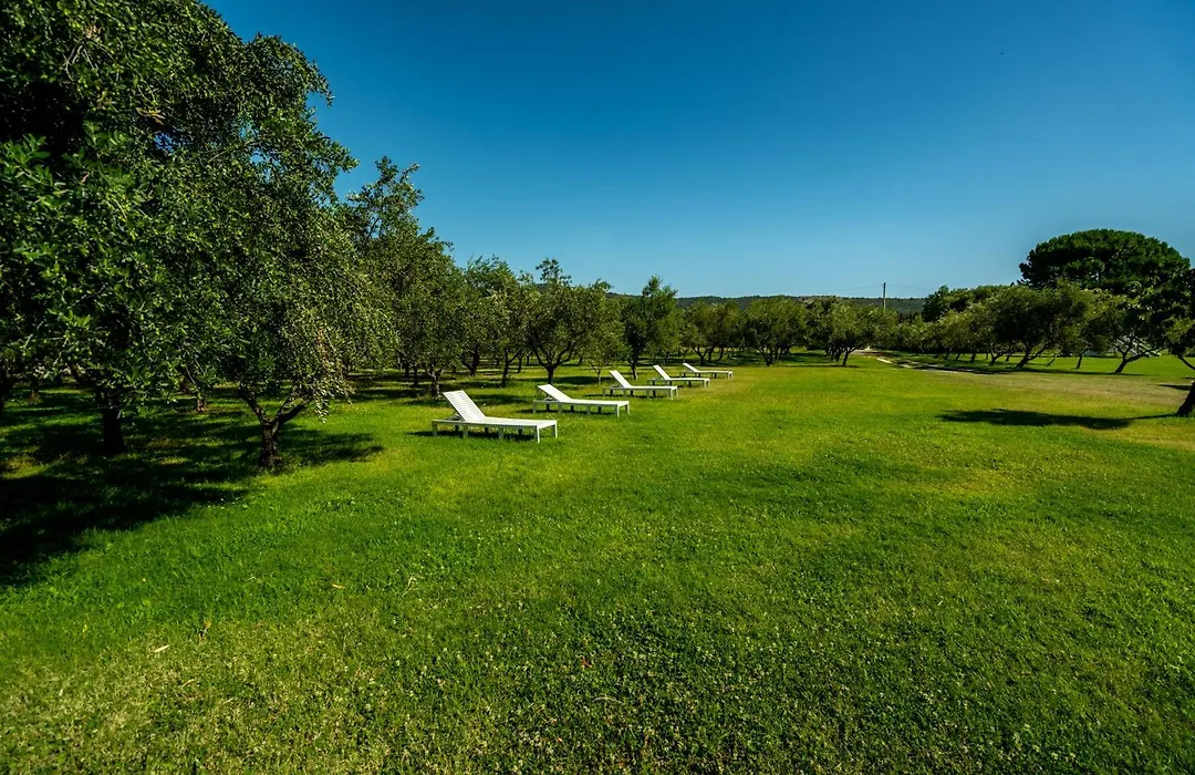 Borgo Albador-1