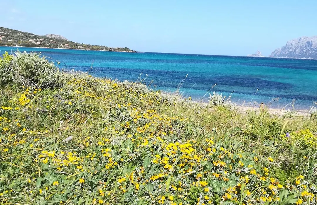 Al Lungomare-1