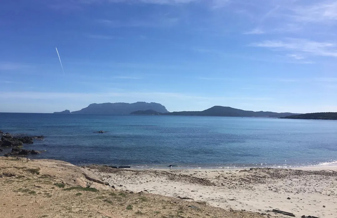 Stella Marina-1
