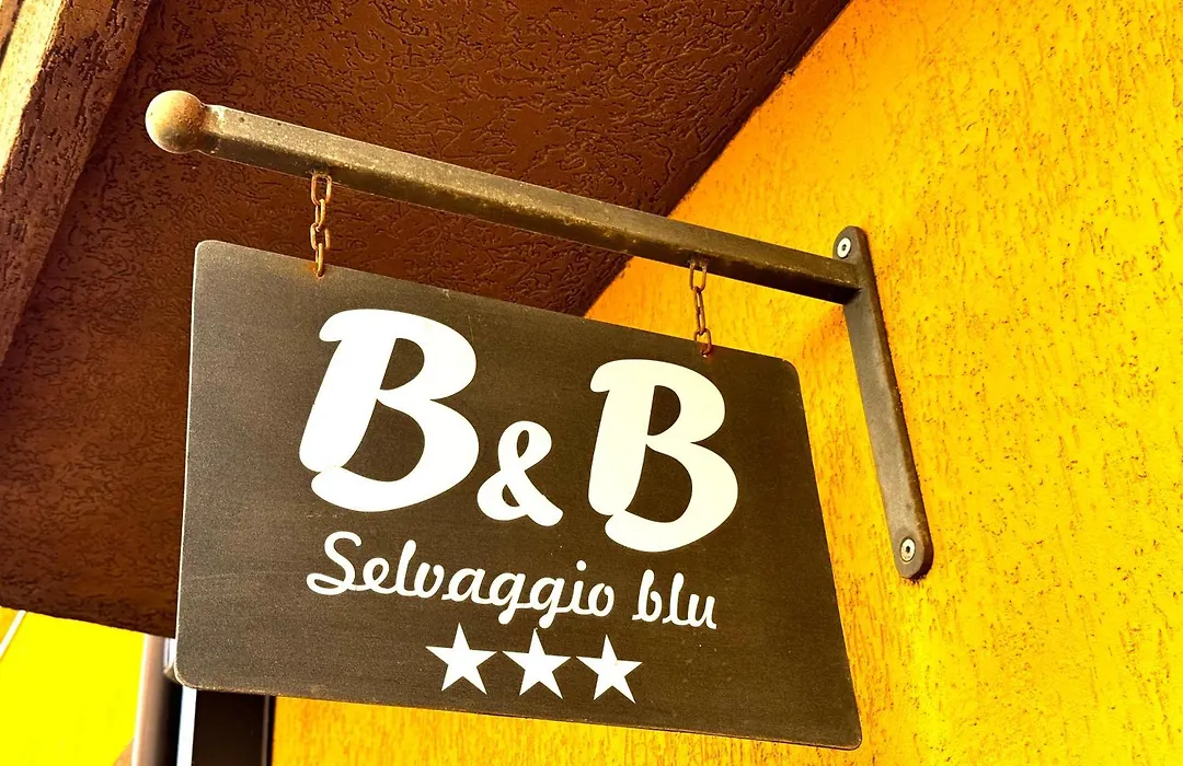 B&B Selvaggio Blu-1