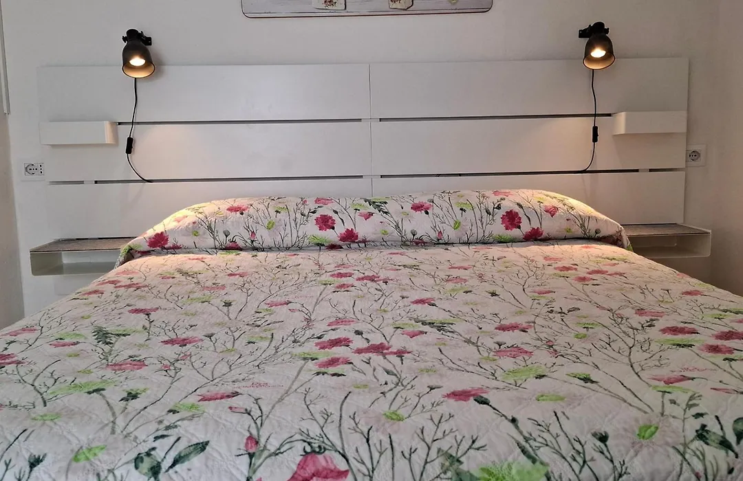 Phiniscollis B&B-1