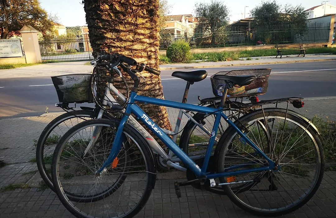 Alghero In Bicicletta-1