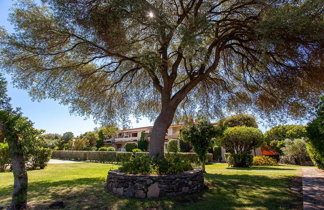 Villaggio La Cinta-1