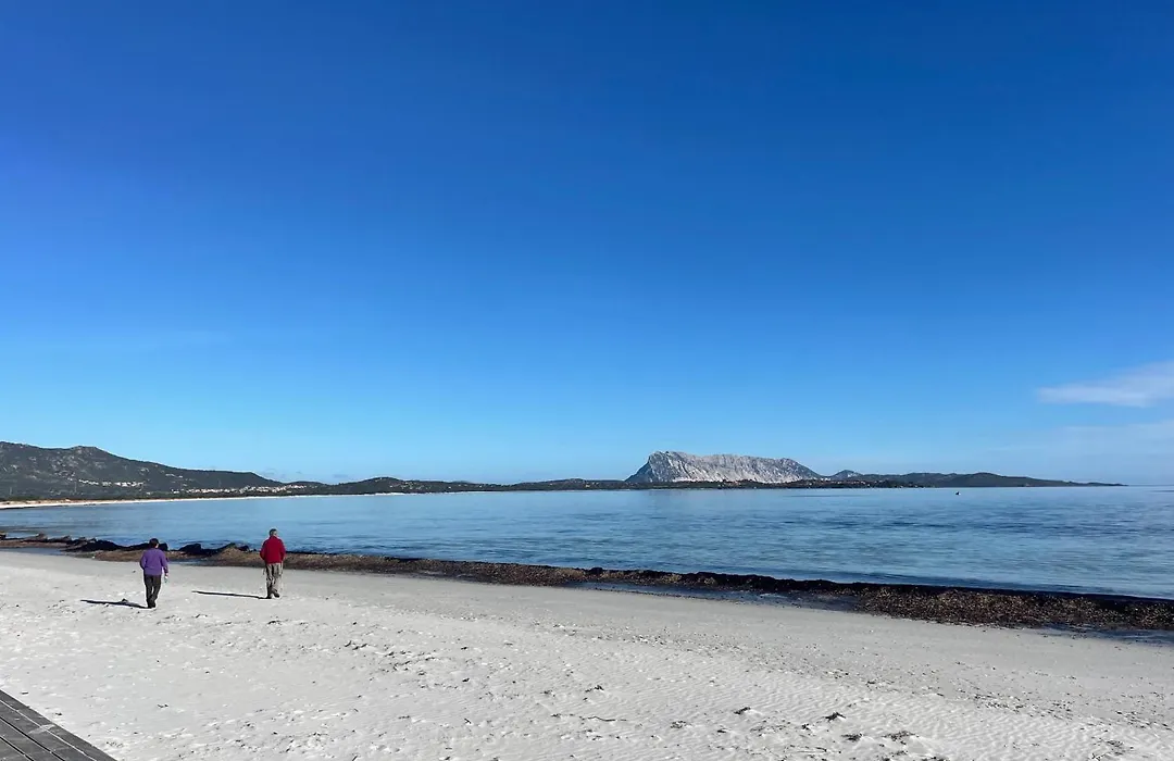 HOTEL Al FARO , SPIAGGIA LA CINTA ,SAN TEODORO-1