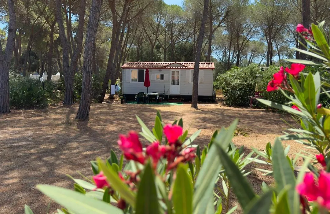 Villaggio Camping Nurral-1