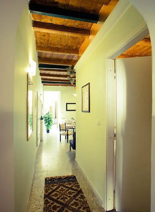 Sassari-In-1