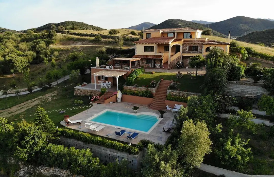 Domus Francy-1
