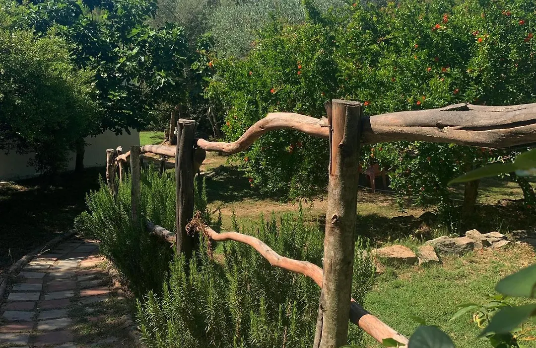 S'Imbragu Farm B&B-1