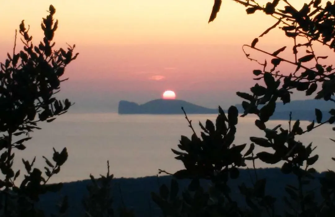 Il Giardino Degli Iris-1