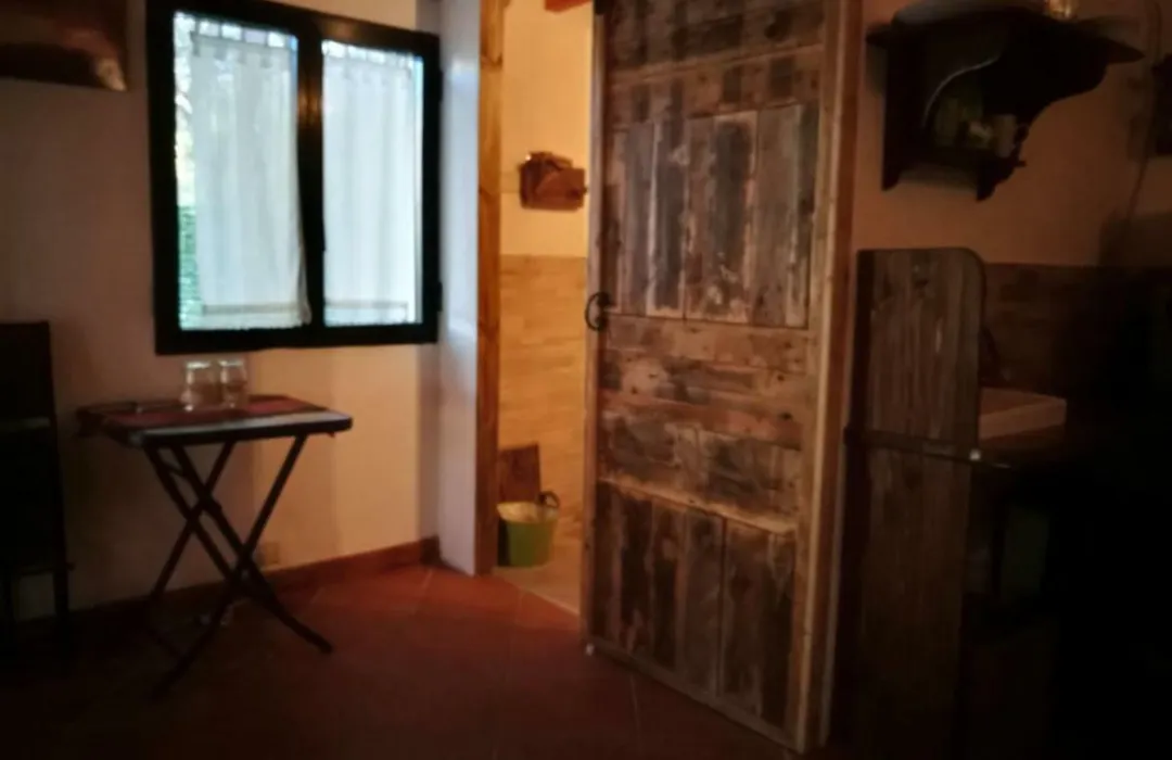 Tiny House-1
