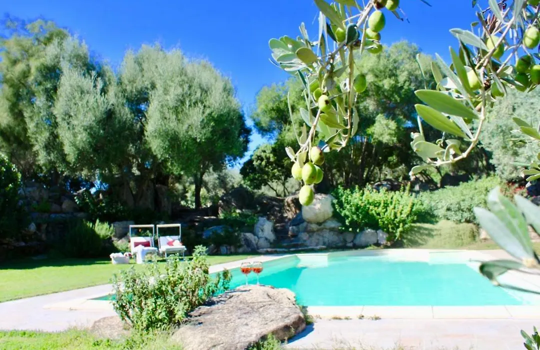 Aia Del Sole-1