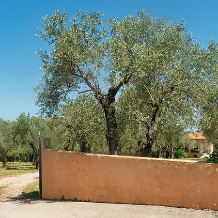 Welcomely - Country Guesthouse Olivar-2