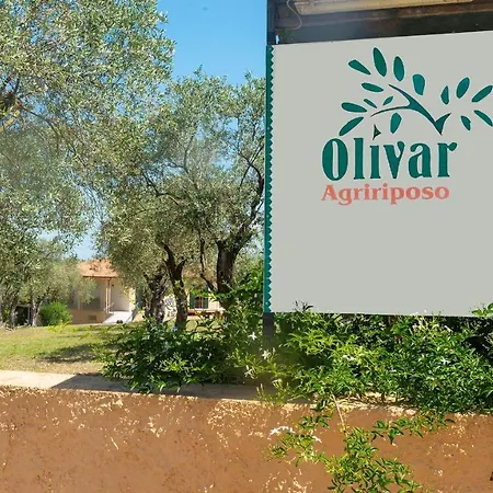 Welcomely - Country Guesthouse Olivar-3