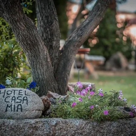 Hotel Casa Mia-2