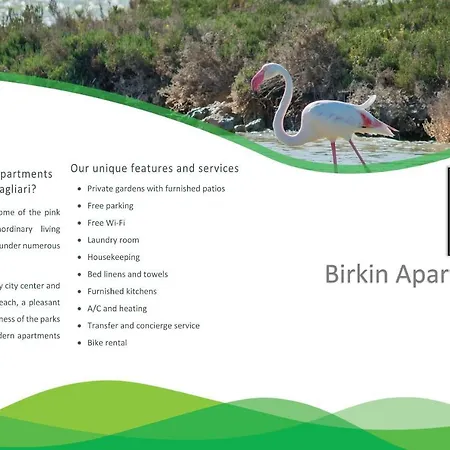 Birkin Apartments-3