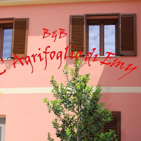 L'Agrifoglio di Emy-2