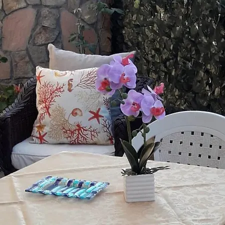 4 Stagioni-3