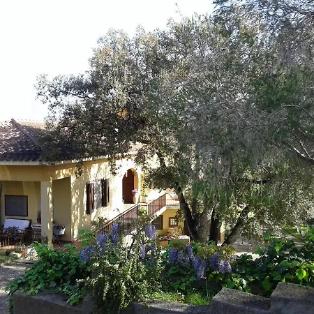 B&B Coldulivo-2