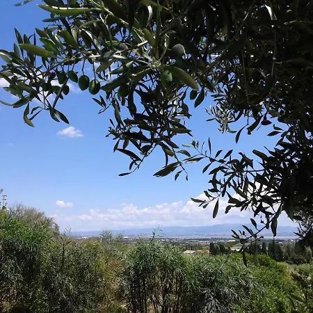 B&B Coldulivo-3