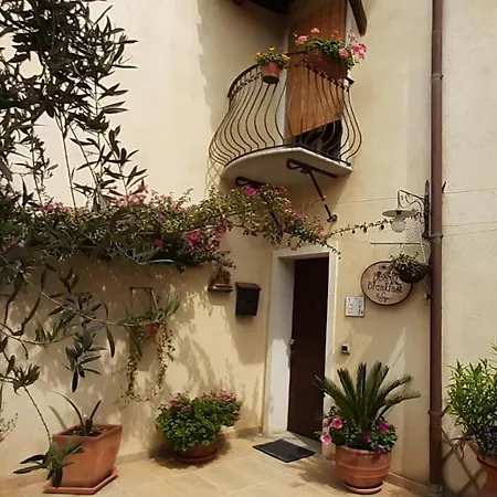 Entula di virgi-3