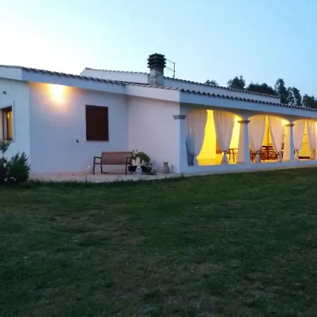 B&B Briosa-2