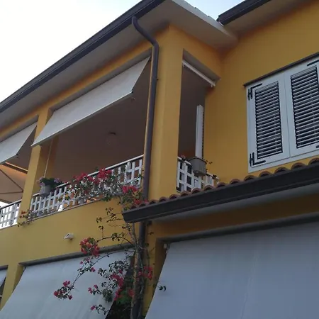 B&B Benjamin-2