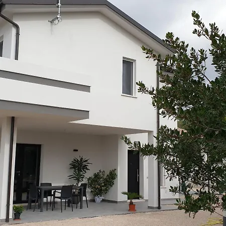 B&B Juniperus-2