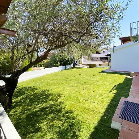 Appartamenti Residenziali Bonsai-2