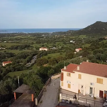 Belvedere-3