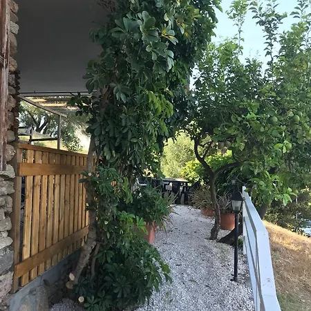 Su Sole-3