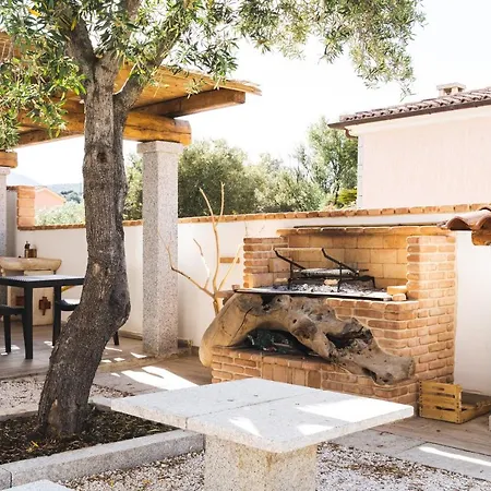 B&B Gonare-2